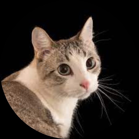 gabezuff